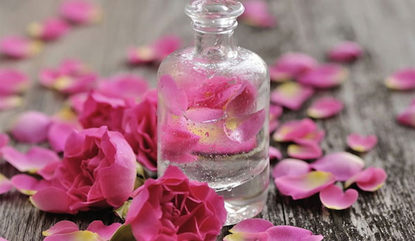 تصویر 2 از خرید اسانس گل محمدی + قیمت فروش استثنایی